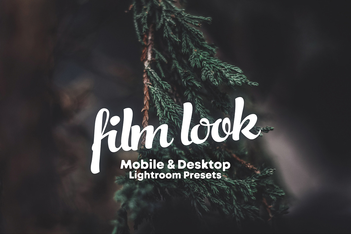 Film Look Lightroom Presets, an Action Add-On by Maple Visuals (Photo 10 of 10)