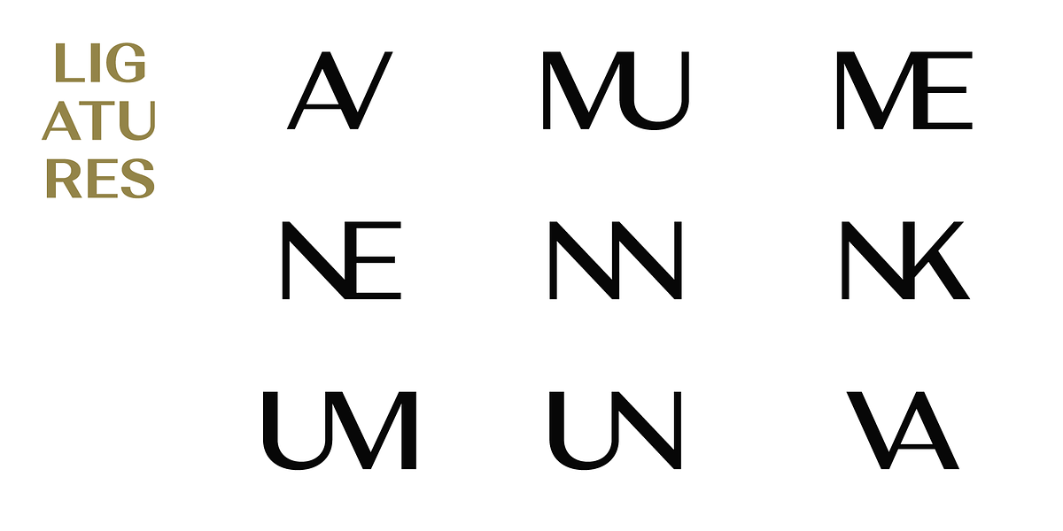 Alethia Next, a Sans Serif Font by Pepper Type (Photo 6 of 14)