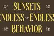 Rachon Bold Tall Display Serif, a Serif Font by timelesstype.co (Thumbnail 11 of 20)
