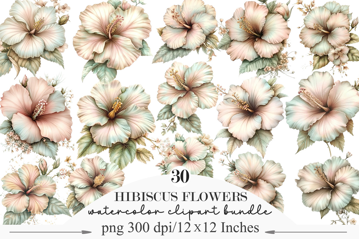 Watercolor Hibiscus Flowers Clipart, an Illustration by Designking (Photo 1 of 5)