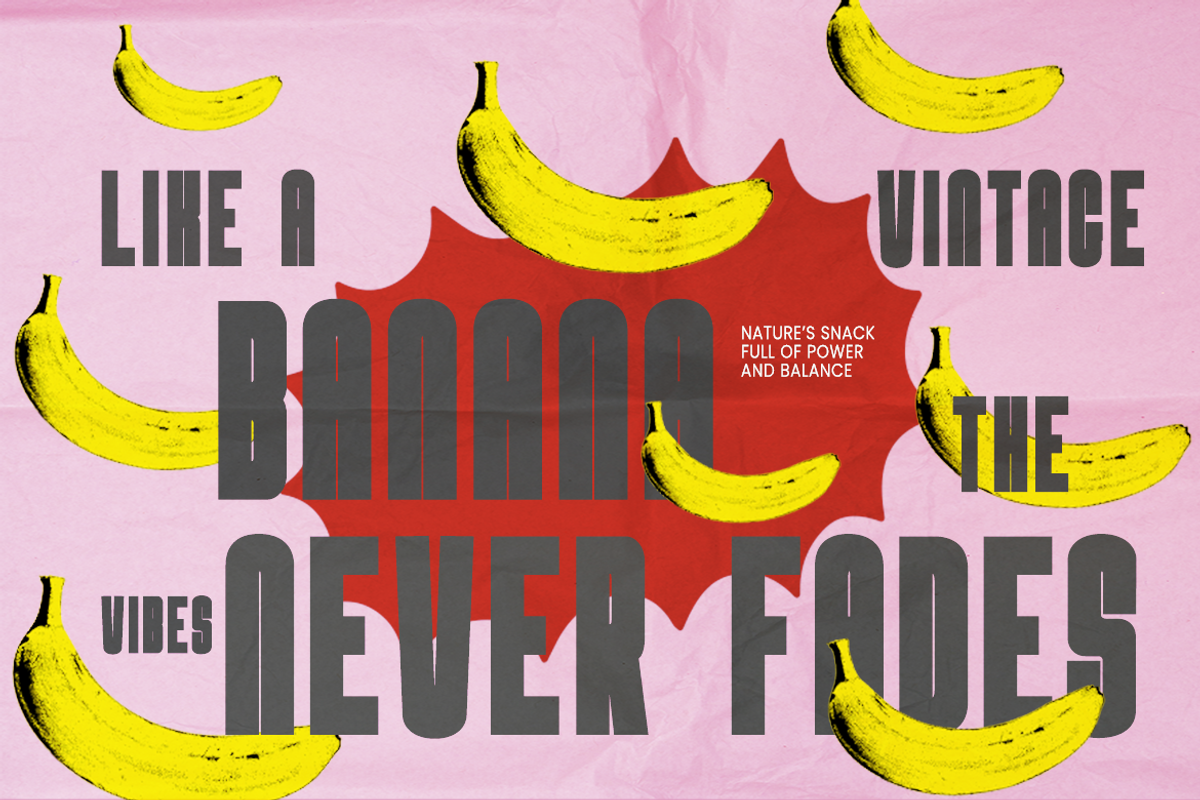 Envolt Modern Vintage Sans Font, a Sans Serif Font by Rasio Studio (Photo 7 of 10)