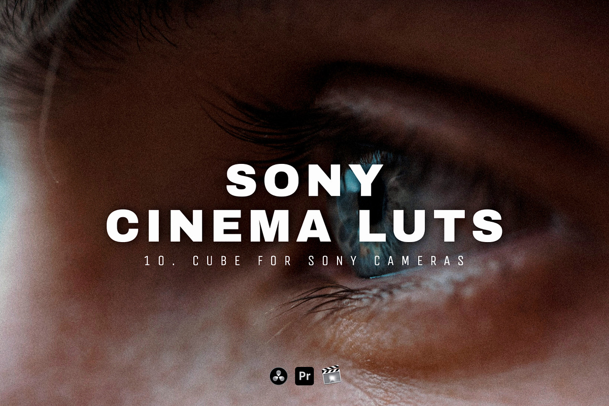 Sony Camera LUTs Pack | Cinema luts, a Preset Add-On by Presets store (Photo 1 of 2)