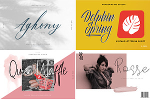 20 Script Fonts Bundle