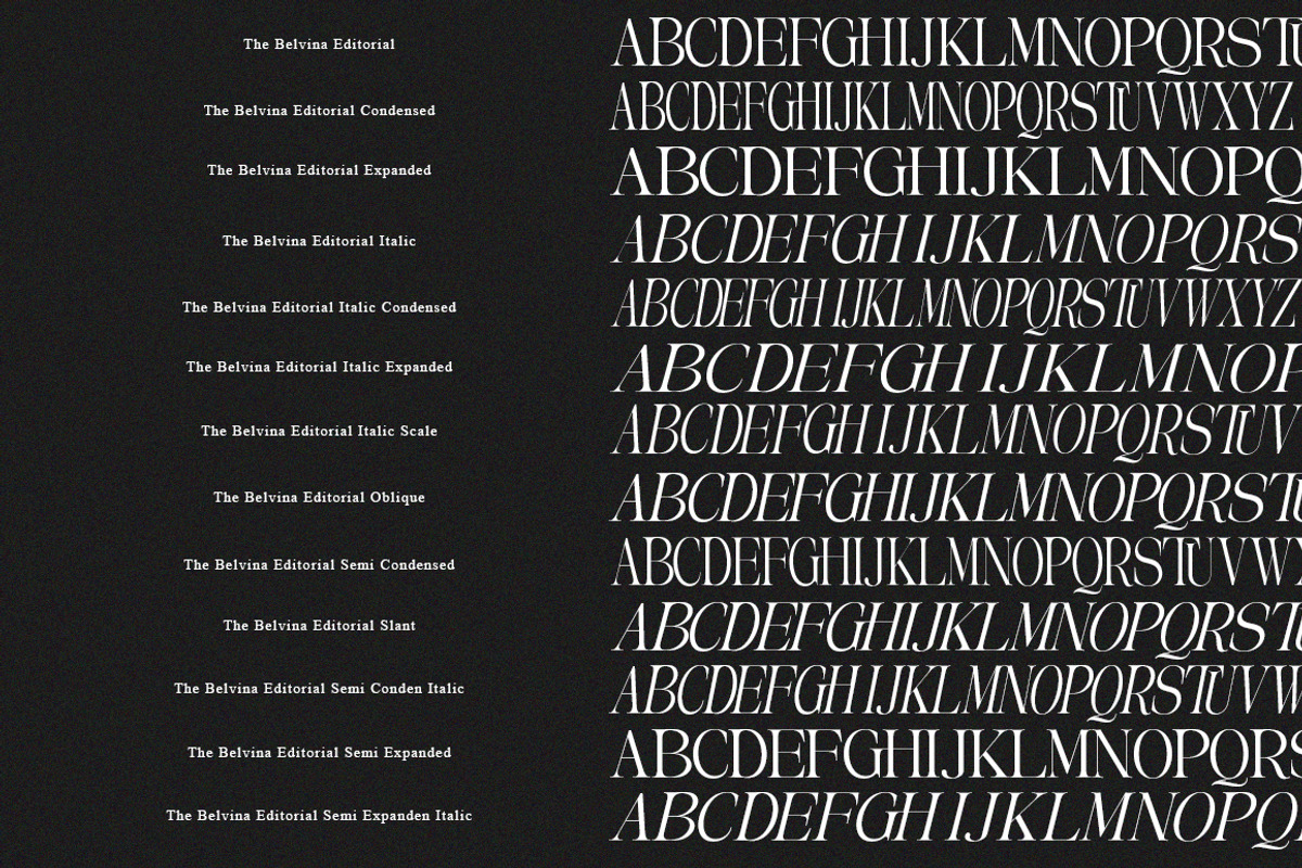 The Belvina Editorial 13 Font Style, a Serif Font by IM Studio (Photo 13 of 14)