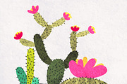 succulents and cactuses, a Decorative Illustration by Jema's (Thumbnail 2 of 2)
