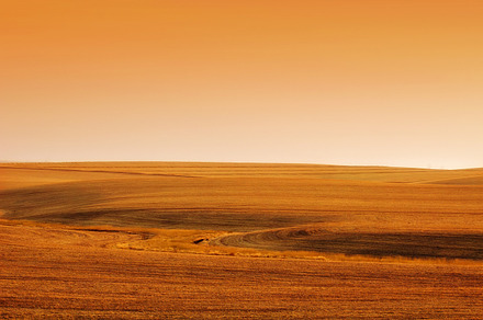 Field Background preview 4