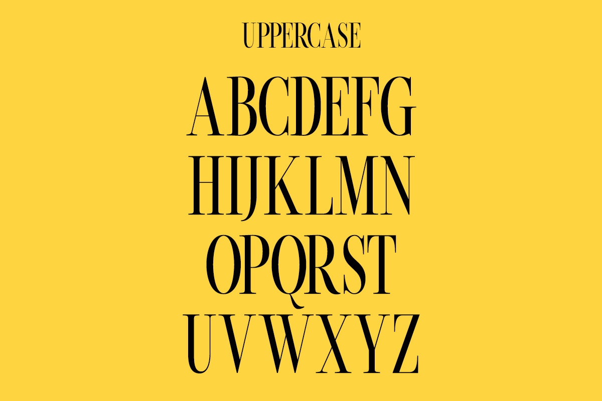 Beachwalk | Elegant Retro Serif, a Serif Font by Muntab_Art (Photo 8 of 13)