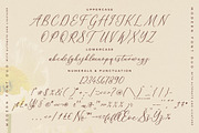 Adoretta Holland Font Duo, a Serif Font by Storytype Studio (Thumbnail 13 of 15)