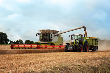 Combine harvester in wheat field