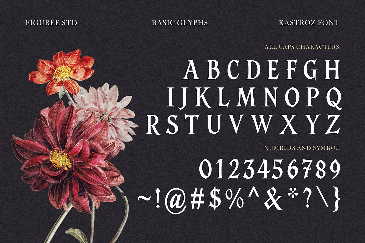 Kastroz – Luxury Vintage Serif Font, a Serif Font by figuree studio (Photo 5 of 10)