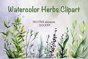 Watercolor Herbs Clipart, a Decorative Illustration by MuzaArtStudio (Thumbnail 1 of 7)