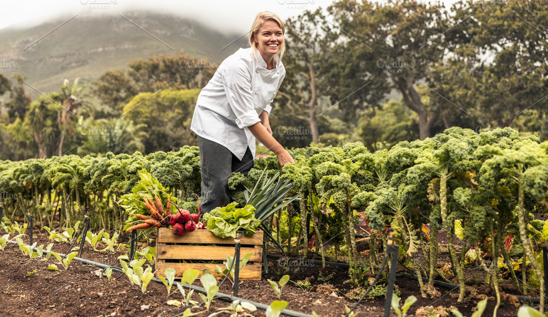 Carefree female chef harvesting fresh vegetables, a Person Photo by Jacob Lund