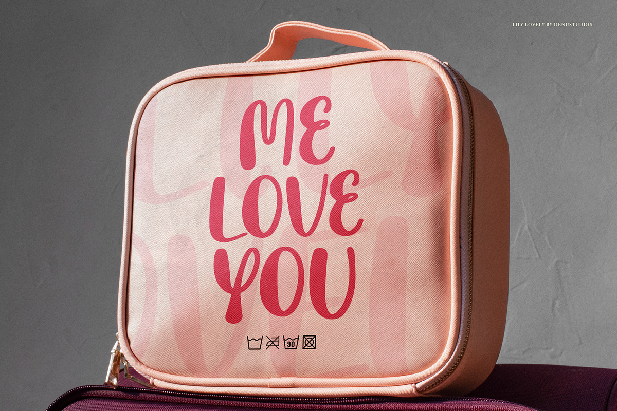 Lily Lovely | Hand Drawn Font, a Handwritten Font by Denustudios (Photo 11 of 16)