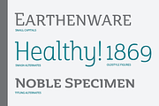 Cabrito Semi, a Serif Font by insigne (Thumbnail 2 of 5)