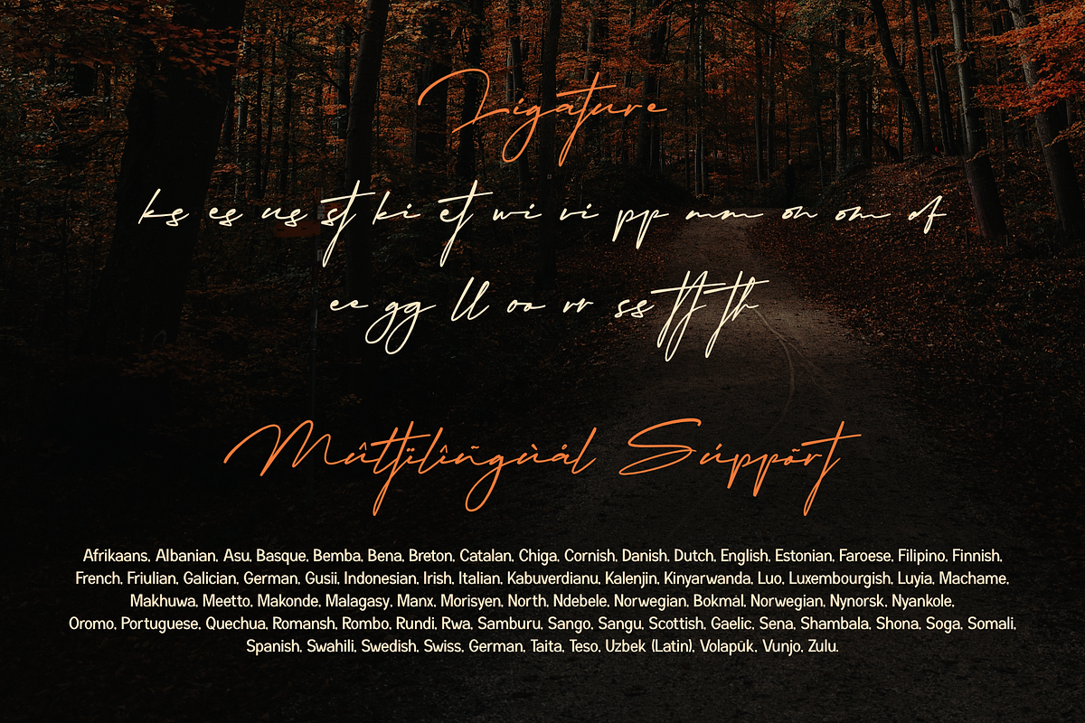 Migratory, a Font by Dumadistyle (Photo 10 of 11)