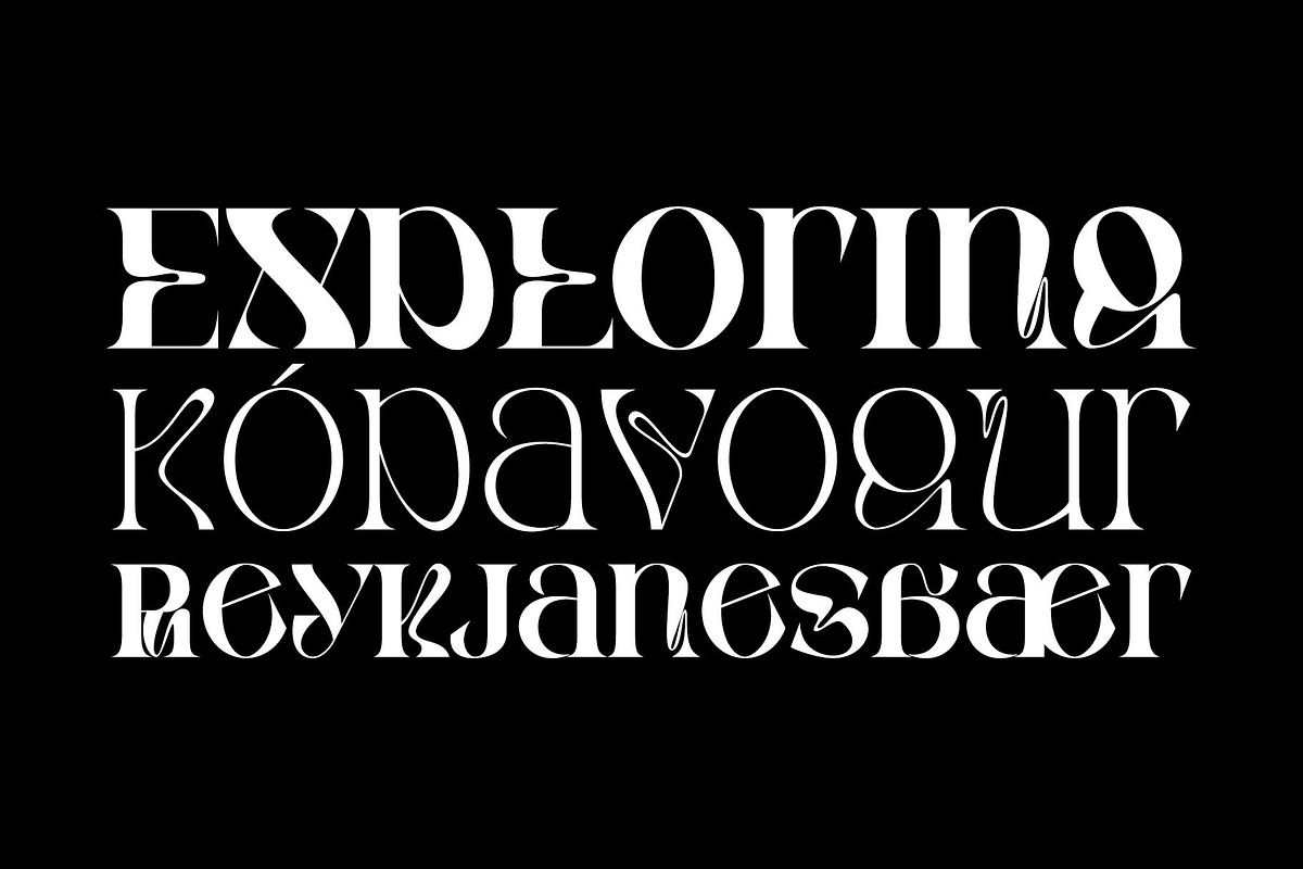 Rghs Font Family, a Serif Font by Ryul Davidson (Photo 12 of 15)