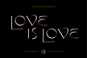 Cantilever Display Font, a Serif Font by PiiNK iiNK STUDiO (Thumbnail 6 of 13)