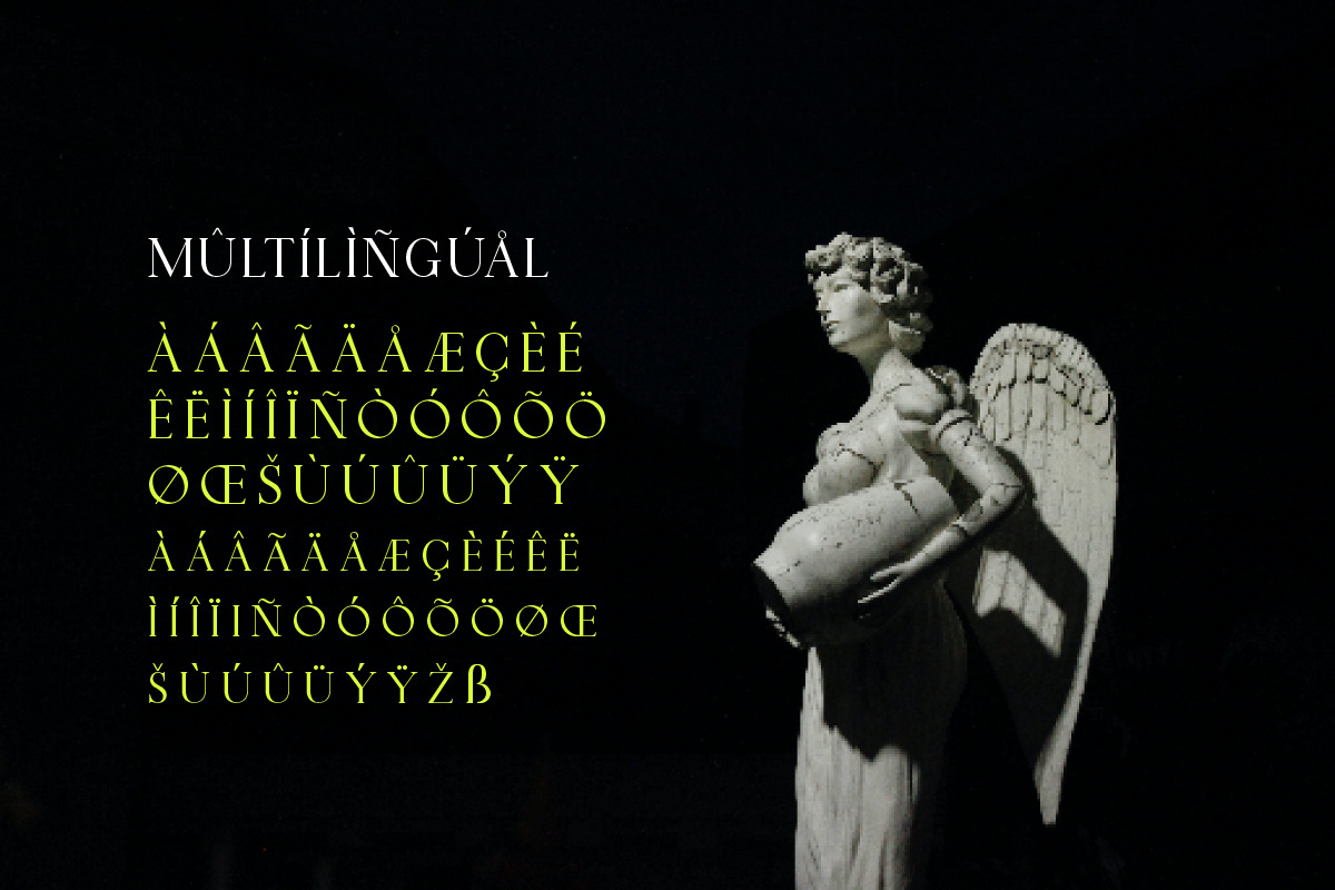 Midtown Groveed Display Serif Font, a Serif Font by Ronny Studio (Photo 9 of 9)