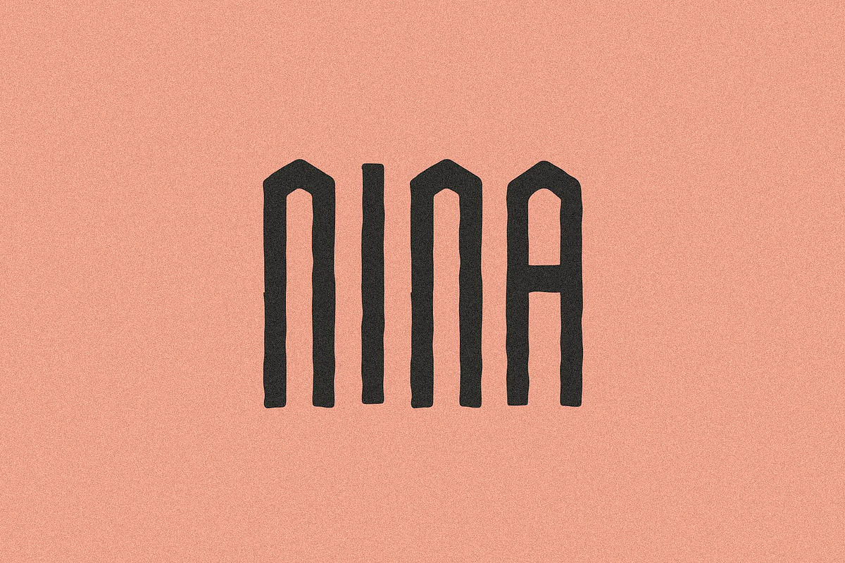 Nina I A Sans Serif Font, a Sans Serif Font by Taylor Penton (Photo 1 of 3)