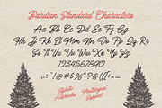 Bardian - Monoline Script, a Script Font by Letterhend Studio (Thumbnail 5 of 9)