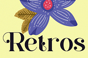Aquitha || Elegant Serif Font, a Serif Font by Idea Studio (Thumbnail 7 of 10)