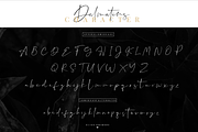 Dalmatins // Elegant Signature Font, a Script Font by Sronstudio (Thumbnail 13 of 14)
