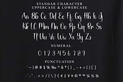 Amsterdam, a Handwritten Font by FreshTypeINK (Thumbnail 3 of 8)