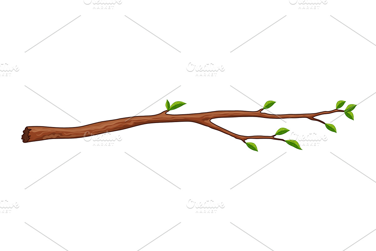 Tree branch. Leafy plants twig, an Object Illustration by the8monkey