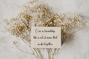 Christian | Script Font, a Handwritten Font by Scratchones (Thumbnail 4 of 9)