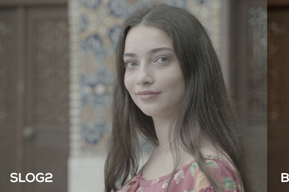 Cinematic Luts (Slog2 & Slog3), a Layer Style Add-On by GeorgeKhelashvili (Photo 10 of 10)