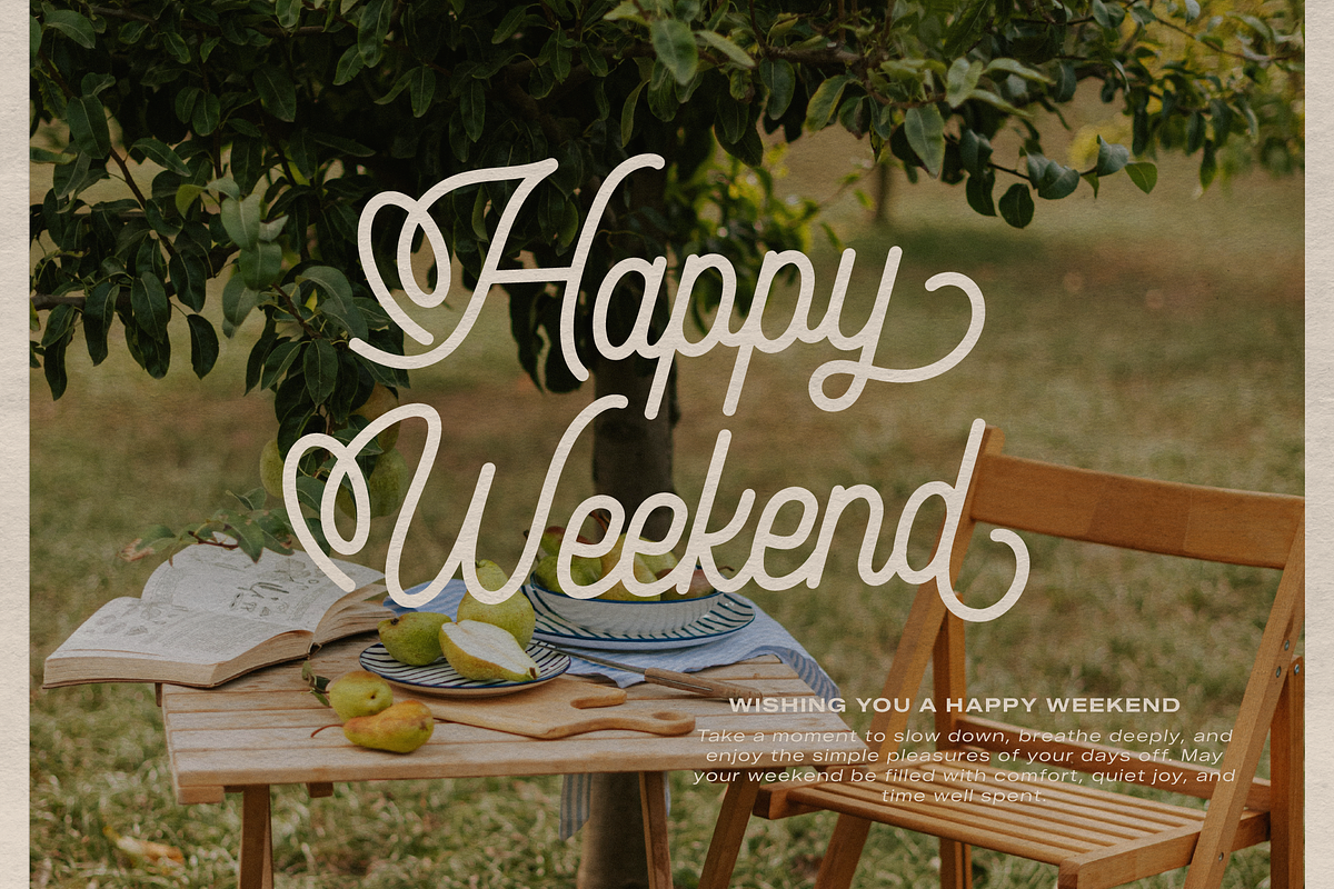 Audley Ipswitch | Monoline Script, a Script Font by gracetype_studio (Photo 9 of 12)
