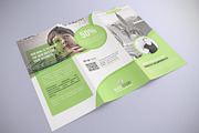 Trifold Brochure Template, a Brochure Template by Alice_s (Thumbnail 9 of 9)