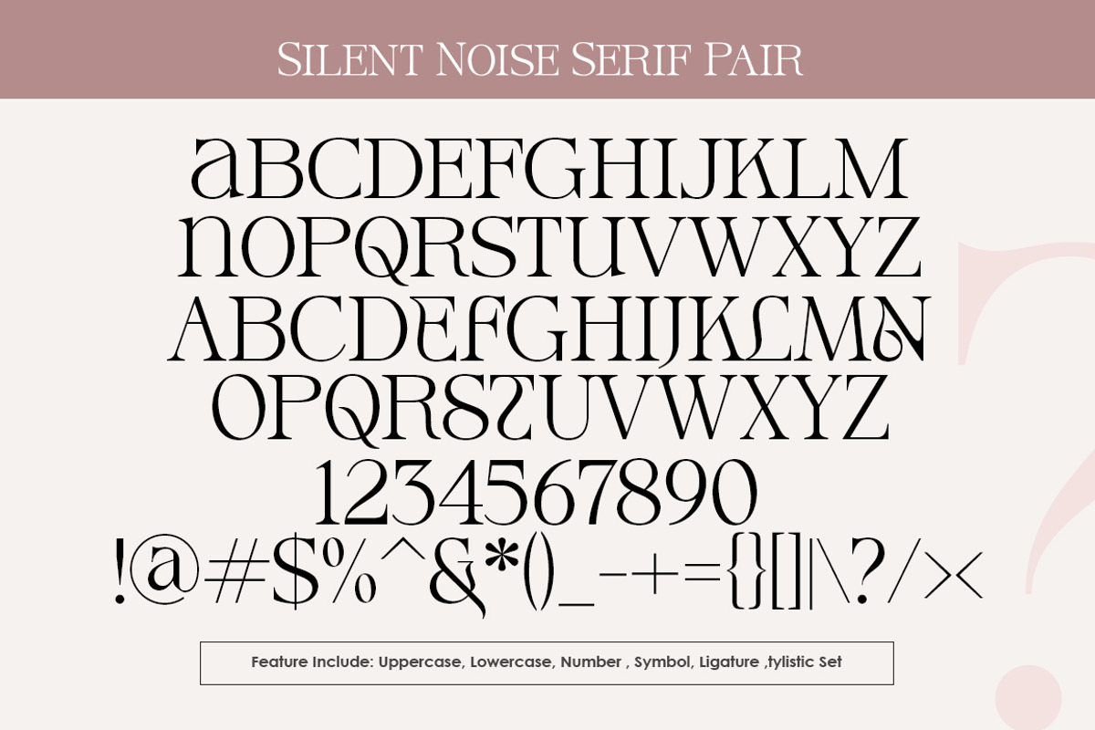 Silent Noise// Modern Font Duo, a Serif Font by Dora Typefoundry (Photo 11 of 12)