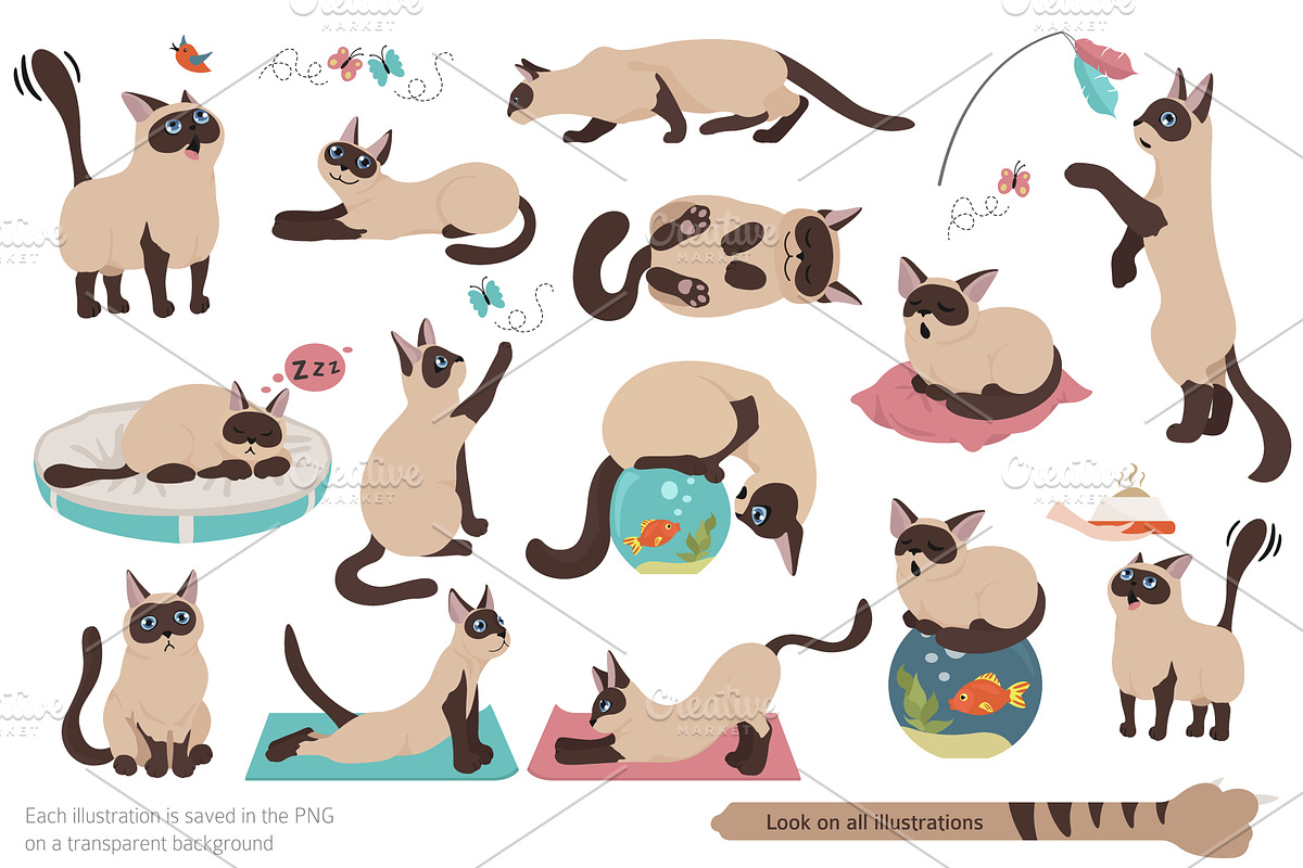 Cartoon cats clipart set, an Animal Illustration by pet design shop (Photo 2 of 12)