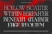 TBJ One Of A Kind Serif Font Family, a Serif Font by Taboja Studio (Thumbnail 18 of 21)