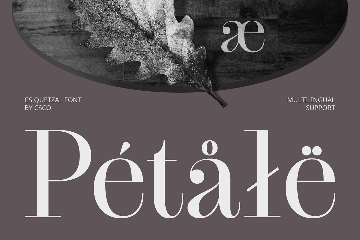 CS Quetzal – Classic Font, a Serif Font by Craft Supply Co. (Photo 5 of 8)