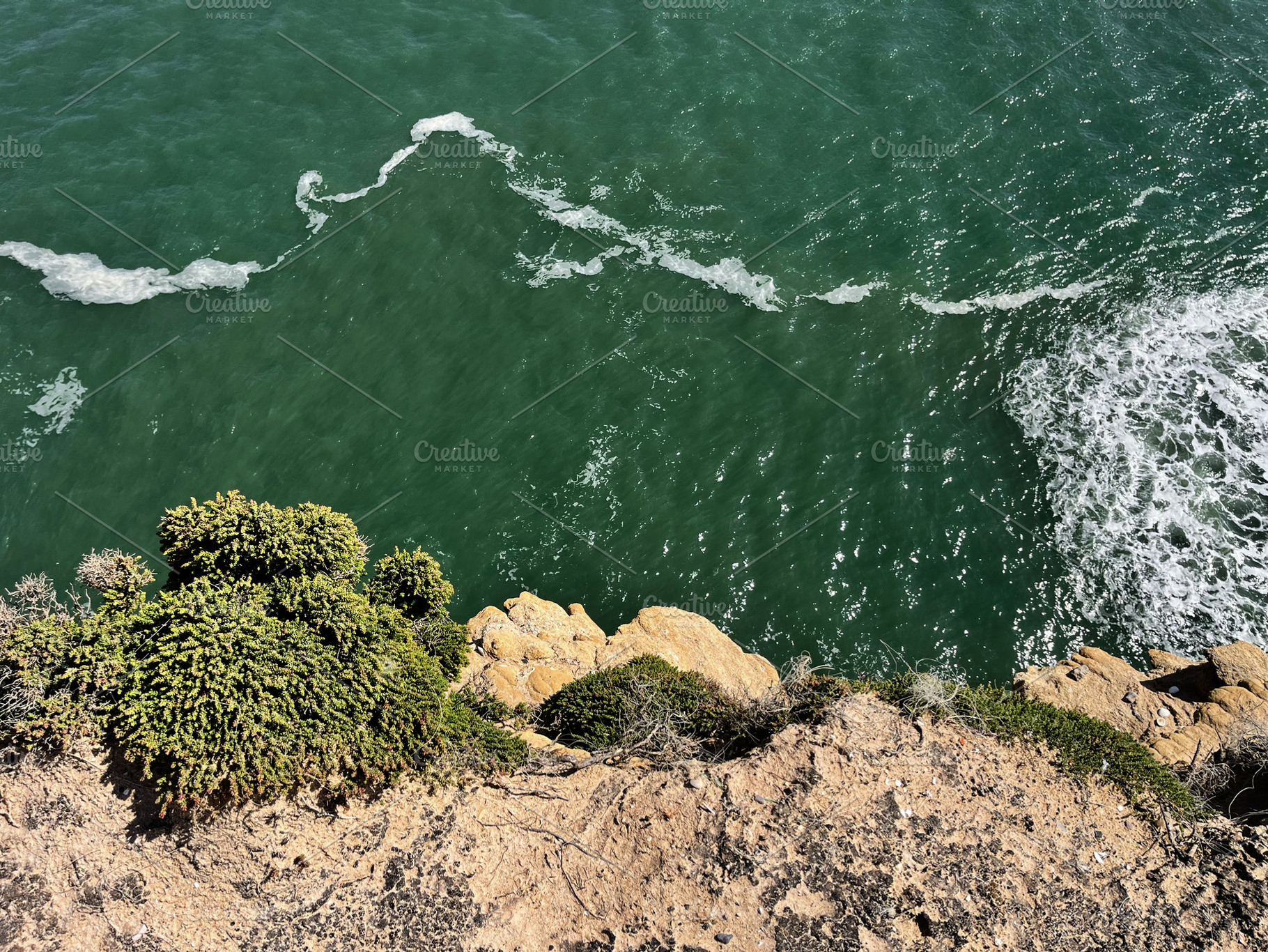 Cliffside ocean view of Nazare Portugal with greenery and rocky coastline, a Photo by AS photostudio