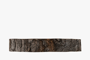 Wood Log Slice Low-Poly