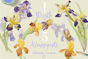 TheArtsyIrisCollection-Clipart, an Illustration by watercolorwild.graphics (Thumbnail 10 of 13)