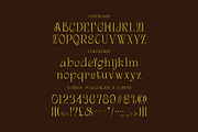 Gordon Tucker Stylish Serif, a Serif Font by Cruzine (Thumbnail 3 of 8)