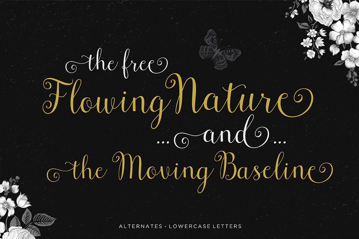 Font Collection | 33 Fonts, a Script Font by Seniors (Photo 57 of 66)