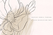Modern Magnolia Floral Illustrations, an Illustration by Fire Spark Studio (Thumbnail 2 of 9)