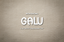 Galu - Luxury Modern Serif Font Fami