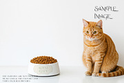 Pet Bowls PNG & PSD Mockups, a Product Mockup by mock-ups (Thumbnail 6 of 12)
