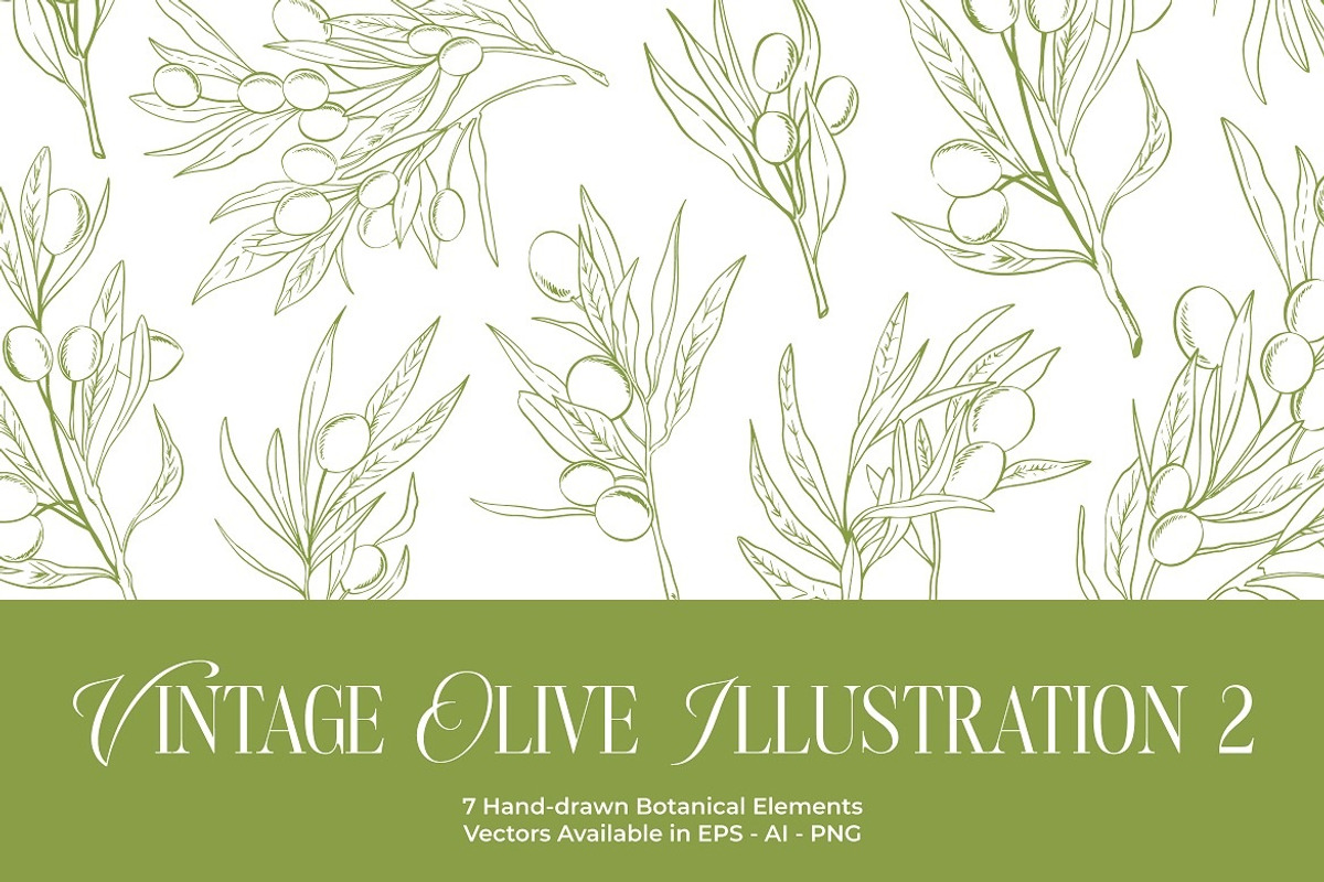 Vintage Olive Hand-drawn Elements, a Decorative Illustration by FDR Studio