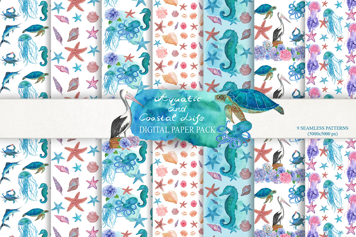 For Sale, a Decorative Illustration by Pretty light (Photo 3 of 7)