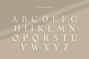 Monik - Elegant Classy Font, a Serif Font by Sensatype (Thumbnail 9 of 15)