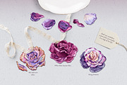 Purple Roses - Watercolour Clipart, a Decorative Illustration by Aquarellina (Thumbnail 4 of 14)