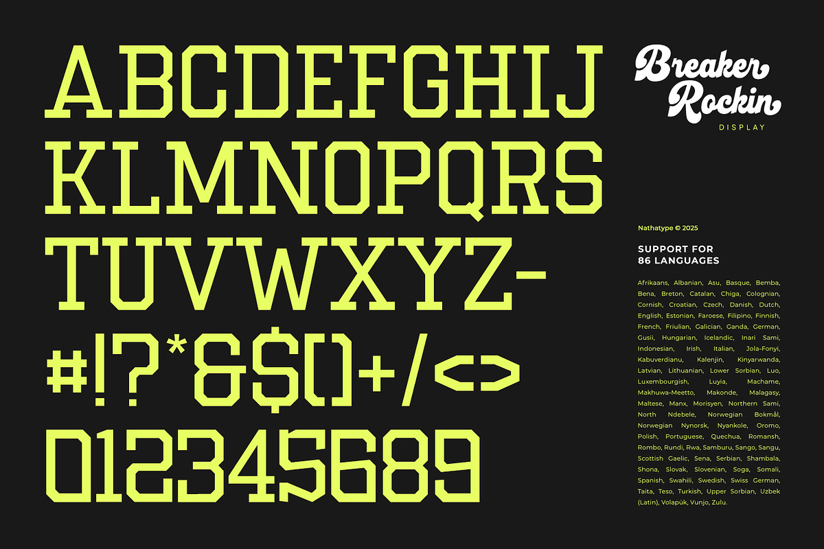 Breaker Rockin, a Script Font by Nathatype (Photo 7 of 21)