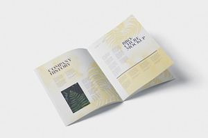 US Letter Brochure -Magazine Mock Up